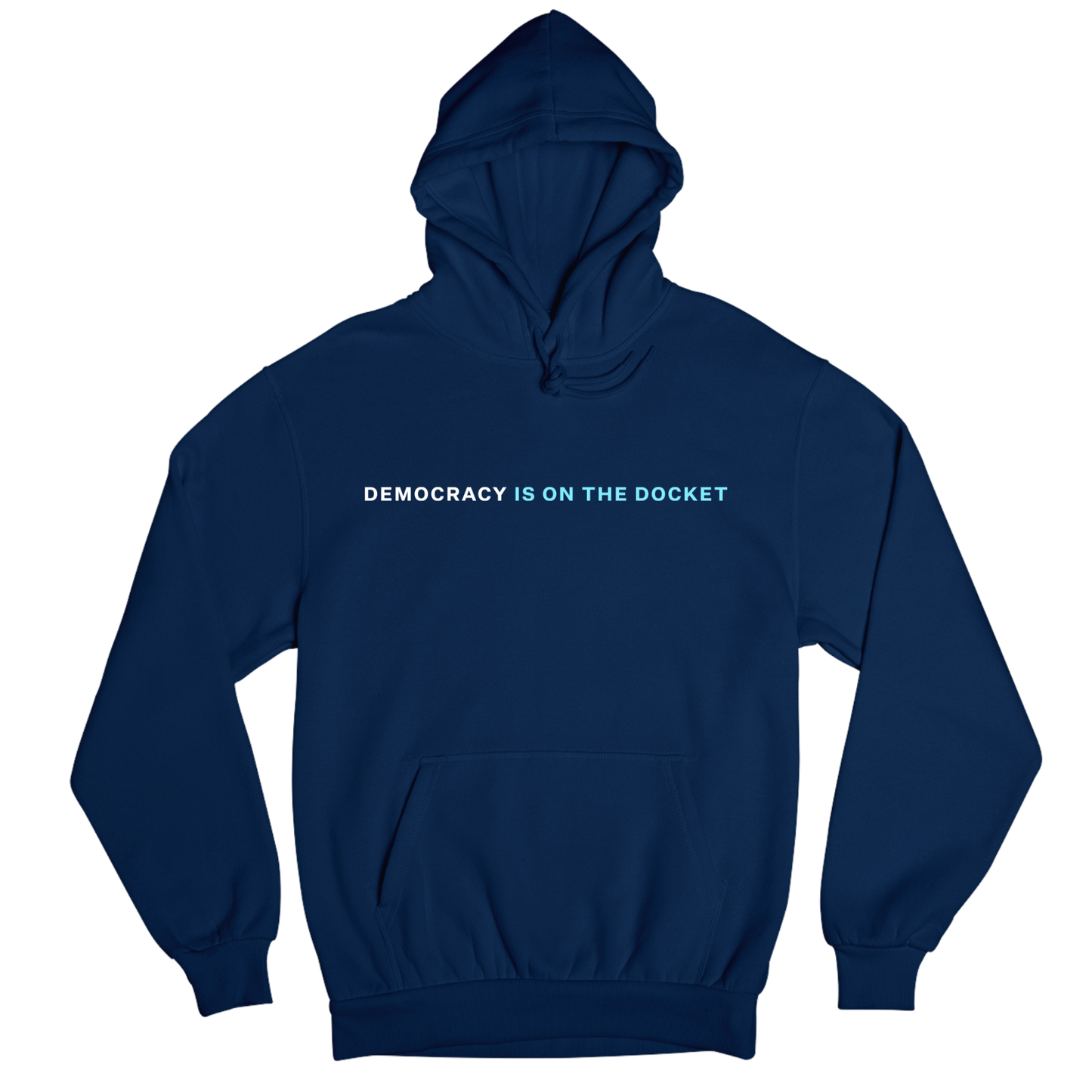Democracy Is On the Docket Hoodie