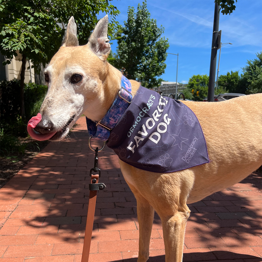 Democracy's Favorite Dog Bandana